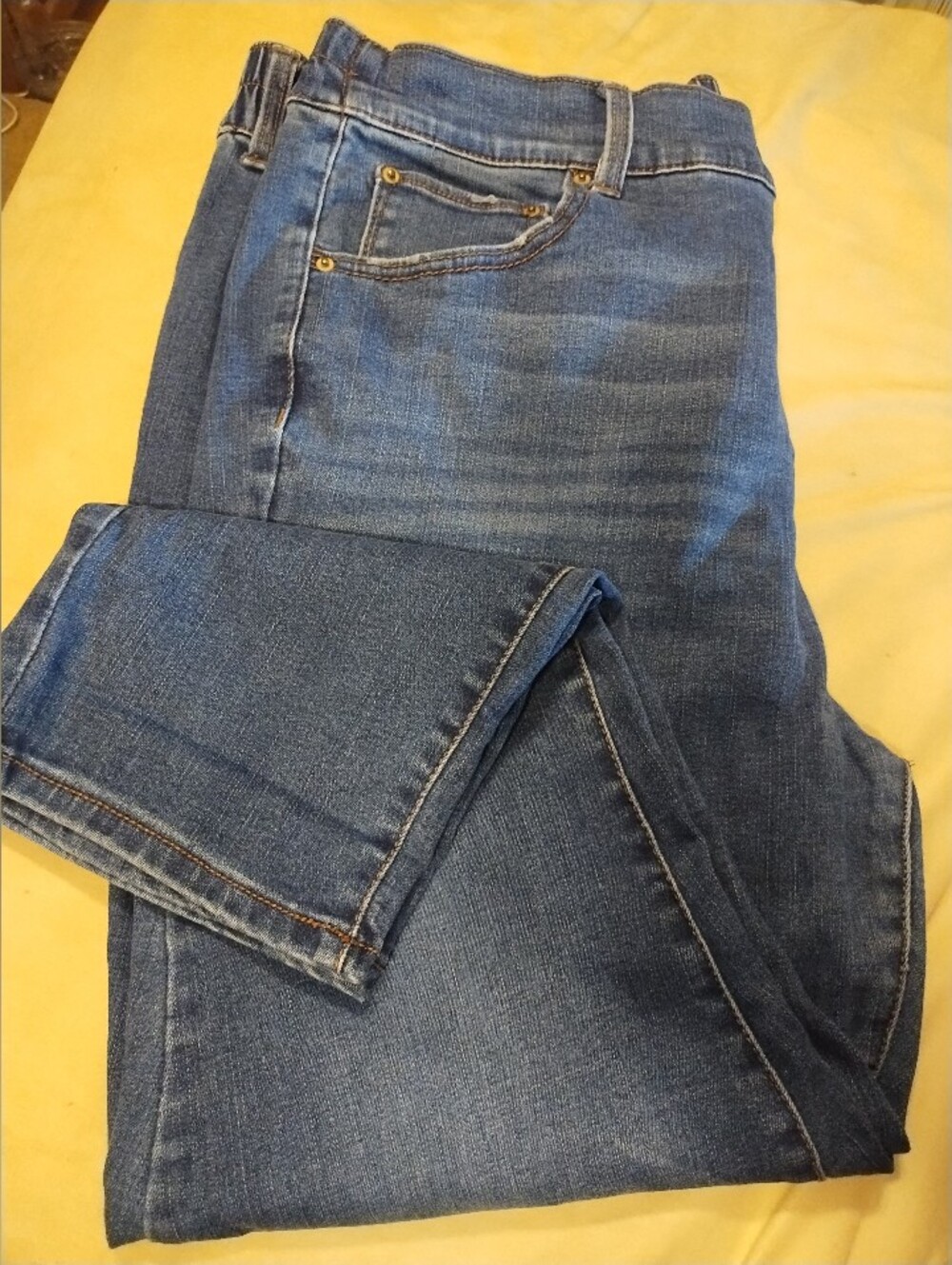 Terra and Sky Cropped Denim Jeans size 1X Button And Zip Front Elastic Back